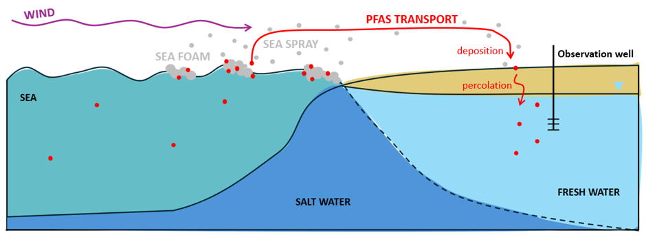 PFAS in Danish groundwater: is the North Sea more contaminated than the Baltic Sea?